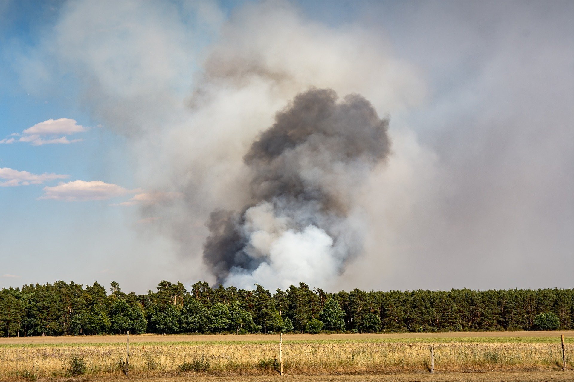 В Воронежской области вводят особый противопожарный режим - фото 1