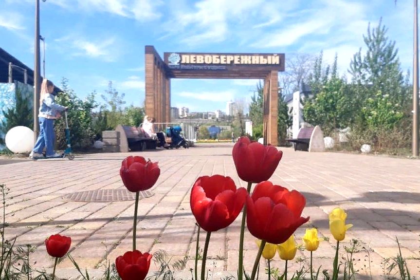 На Дону за шесть лет благоустроили свыше 600 общественных и дворовых территорий - фото 1