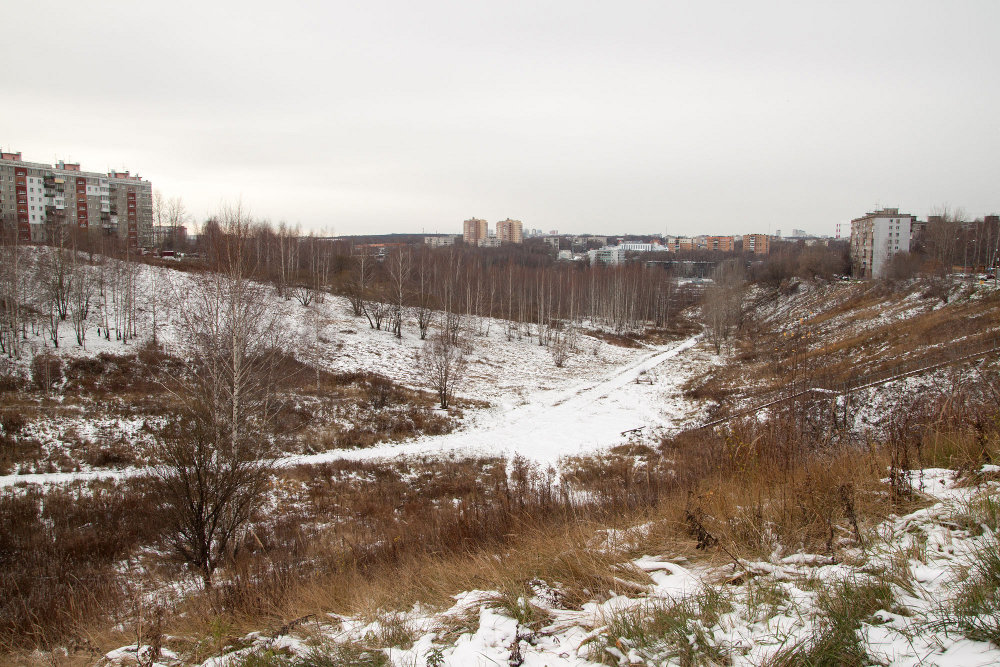 Благоустройства Лопатинского оврага в Нижнем Новгороде намерен добиваться попечительский совет