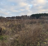 Ход строительства дома 3.1 в ЖК Форест -