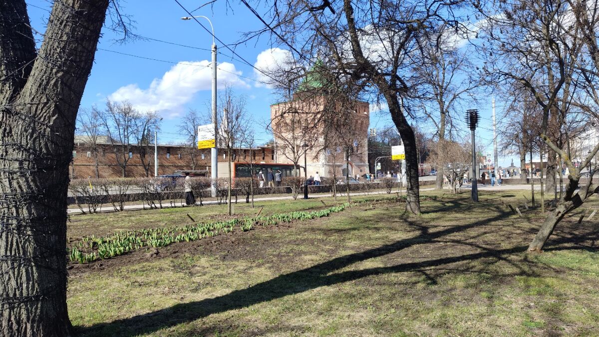 Более 450 деревьев высадят в Нижнем Новгороде до конца мая - фото 1