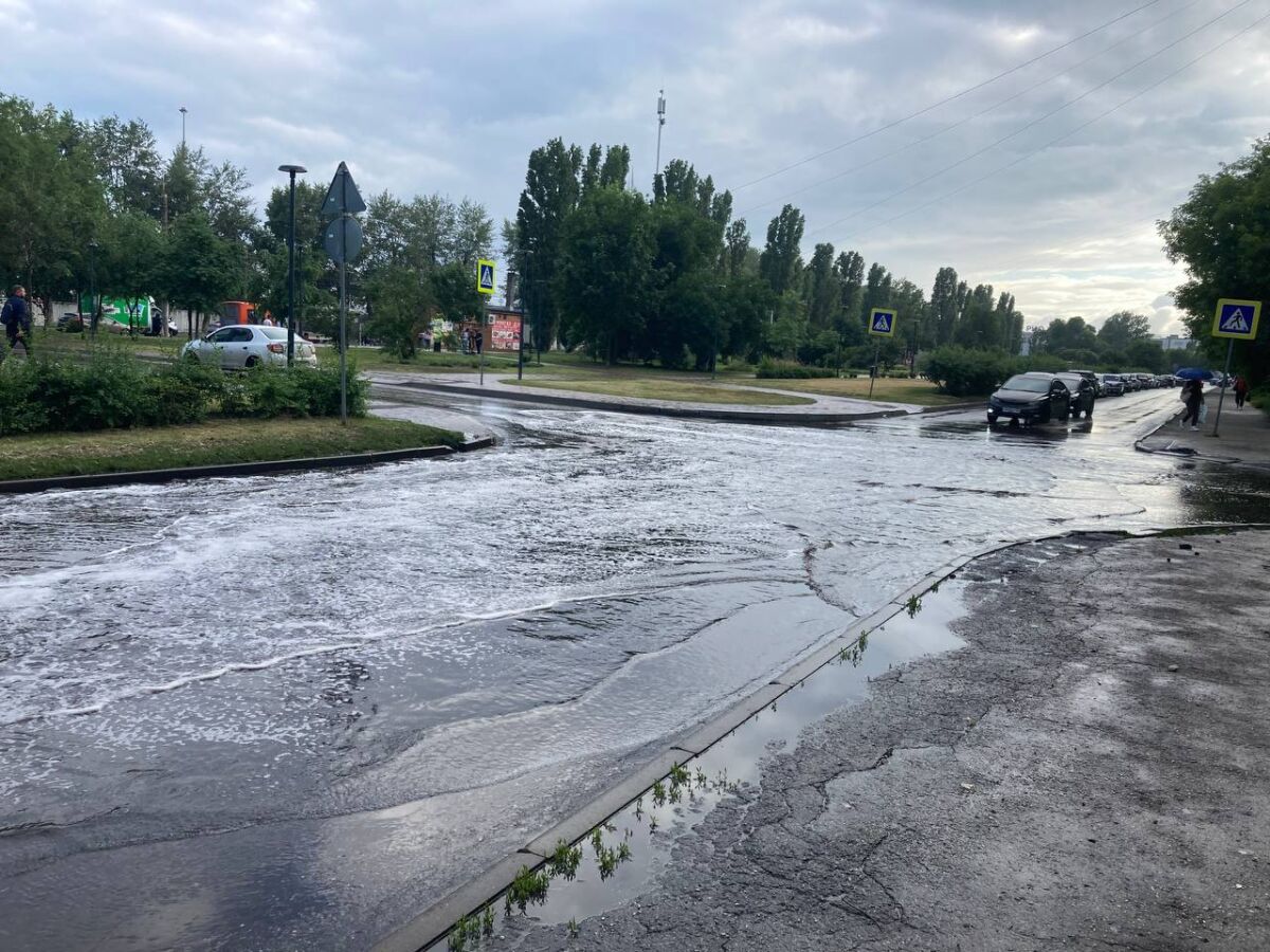 Госэкспертиза одобрила проект сетей водоотведения для новых кварталов в Ольгино - фото 1