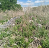 Ход строительства дома 7 в ЖК Расцветай на Зорге -