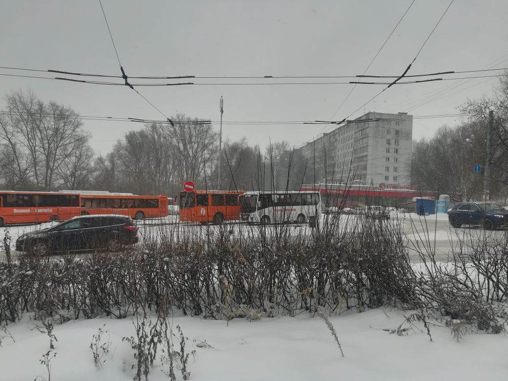 НПАТ восстановит 7 ранее упраздненных маршрутов в Нижнем Новгороде - фото 1