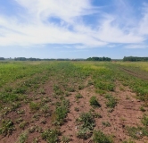 Ход строительства дома 11 в ЖК Миловские Просторы -