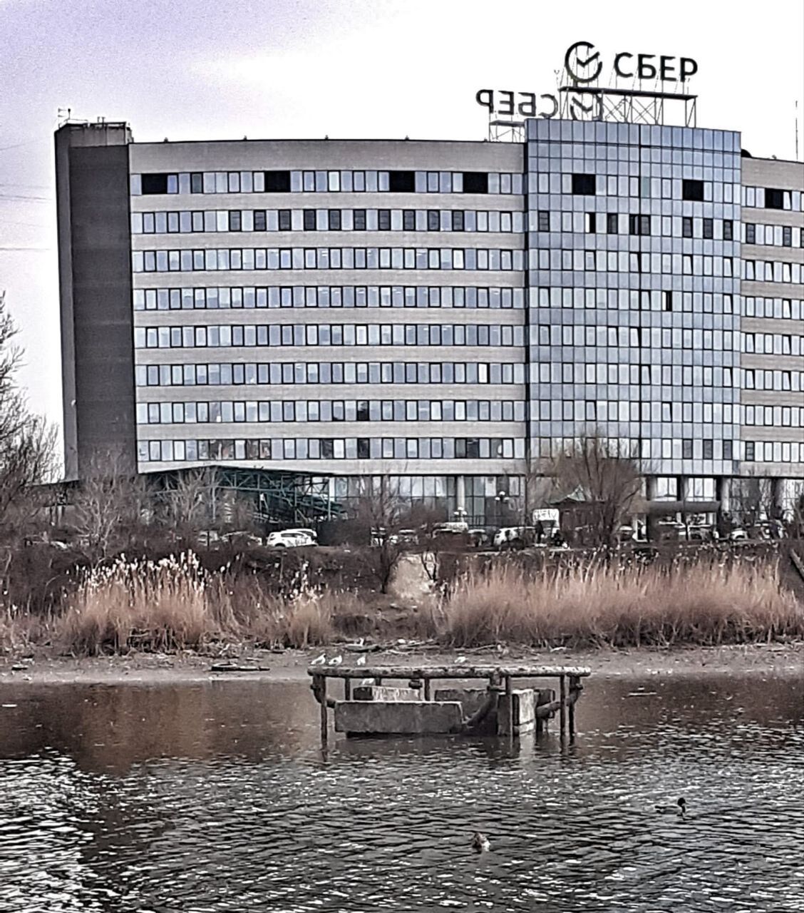 В ростовском парке «Дружба» могут восстановить неработающий фонтан  - фото 1