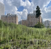 Ход строительства дома 6.5 в ЖК Нова Парк (Nova Park) -