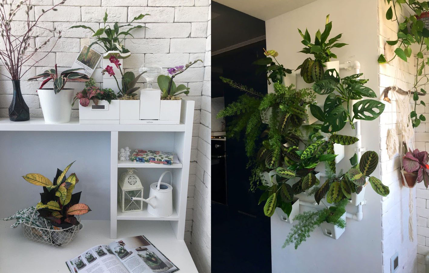 Фитодизайн: как создать цветочный рай в квартире