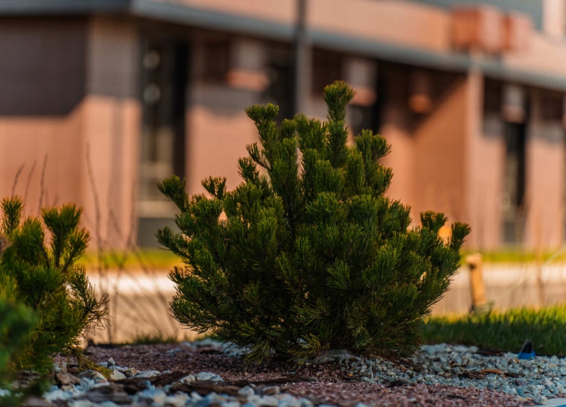 Дом Литер 1.2 в ЖК Флора - фото 30