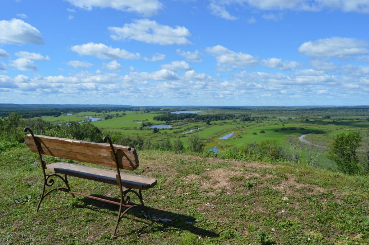 Ростовская область вошла в тройку лидеров по сдаче земли в аренду - фото 1