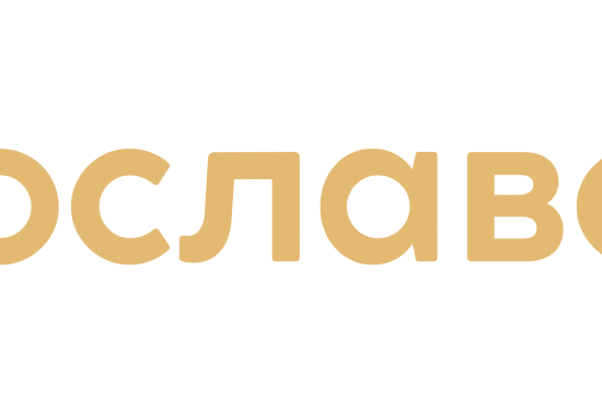 Дом 51.1 в ЖК Ярославский