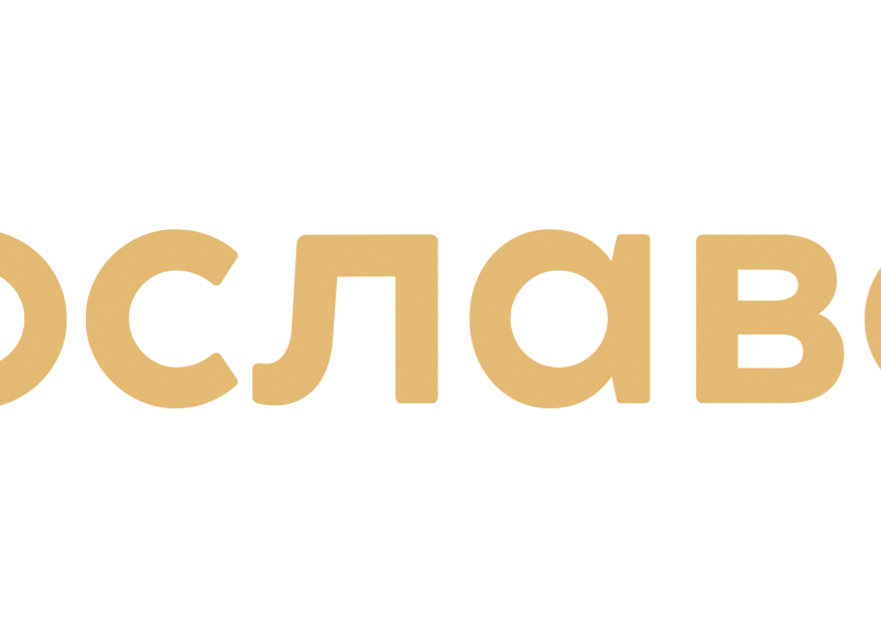 Дом 51.1 в ЖК Ярославский - фото 1