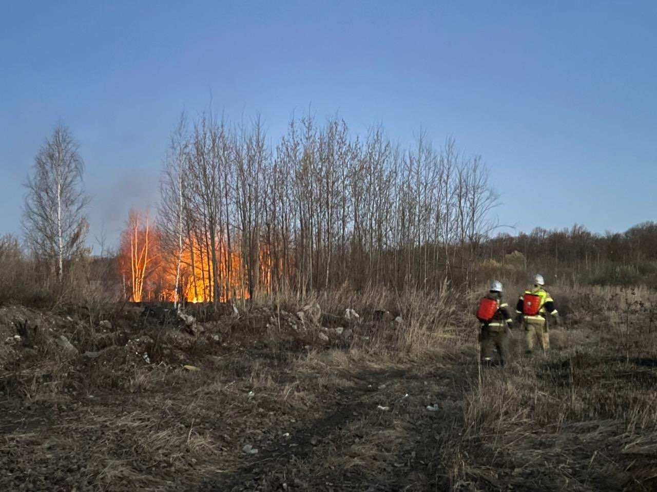 Противопожарный режим начал действовать в Нижегородской области - фото 1