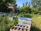 ЖК Новиков - ход строительства, фото 53, Июль 2020