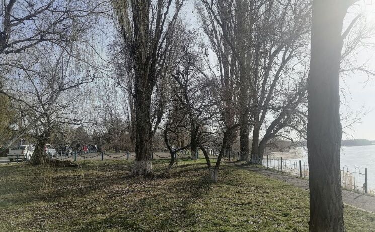 Назван топ-5 объектов для благоустройства в Ростовской области  - фото 6