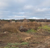 Ход строительства дома 10.2 в ЖК Форест -